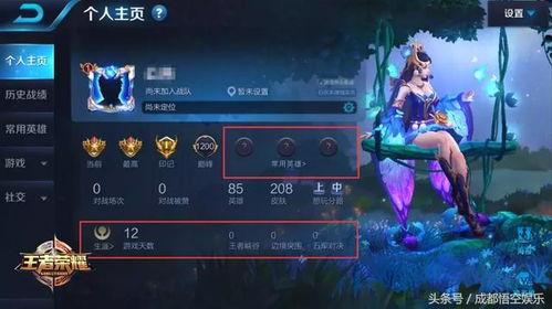 怎么找王者最新爆料,王者最新爆料，探寻游戏更新动向