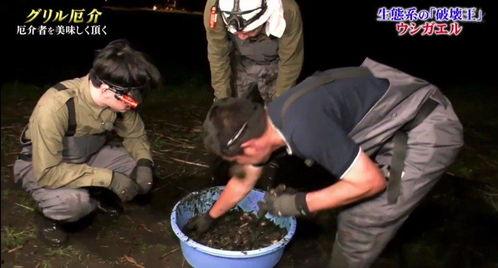 牛哥最新爆料视频大全集,揭秘热点事件背后的真相